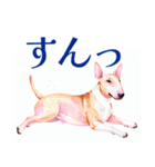 水彩感じるブル・テリアスタンプ（個別スタンプ：35）