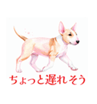 水彩感じるブル・テリアスタンプ（個別スタンプ：39）