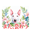 水彩感じるブル・テリアスタンプ（個別スタンプ：40）
