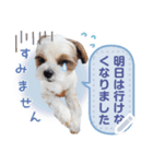 ルイチャン8（個別スタンプ：1）
