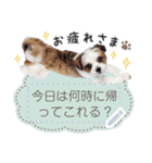 ルイチャン8（個別スタンプ：2）