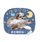ルイチャン8（個別スタンプ：5）