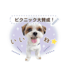 ルイチャン8（個別スタンプ：6）