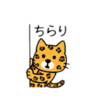 可愛いヒョウ日本語とデカヒョウ（個別スタンプ：12）