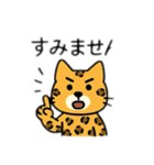 可愛いヒョウ日本語とデカヒョウ（個別スタンプ：16）