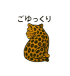 カッコいいヒョウ日本語（個別スタンプ：1）