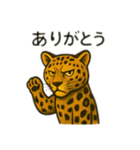 カッコいいヒョウ日本語（個別スタンプ：2）