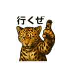 カッコいいヒョウ日本語（個別スタンプ：7）