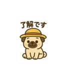 パグさん日常スタンプ♪（個別スタンプ：1）