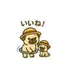 パグさん日常スタンプ♪（個別スタンプ：3）