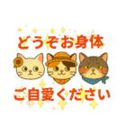 ふてぶてしい、ツンデレ、ふてネコ 夏（個別スタンプ：23）