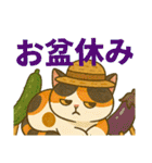 ふてぶてしい、ツンデレ、ふてネコ 夏（個別スタンプ：35）