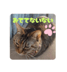 あずきとくるみのスタンプ（シンプル）（個別スタンプ：23）