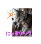 あずきとくるみのスタンプ（シンプル）（個別スタンプ：24）