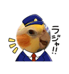 僕のコザクラオカメ1（個別スタンプ：3）