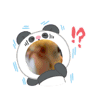 僕のコザクラオカメ1（個別スタンプ：13）