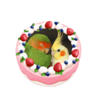 僕のコザクラオカメ1（個別スタンプ：23）