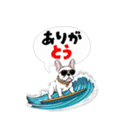 サーフドッグの日常（個別スタンプ：17）