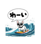 サーフドッグの日常（個別スタンプ：31）