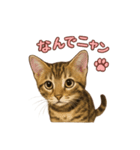子ネコverベンガル1（個別スタンプ：19）