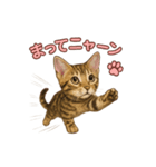子ネコverベンガル1（個別スタンプ：20）
