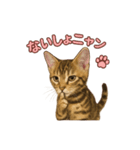 子ネコverベンガル1（個別スタンプ：21）