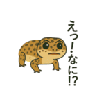 ZOOメイト（個別スタンプ：22）