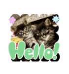 あんみつと家族（個別スタンプ：4）