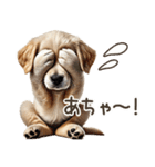 ゴールデンレトリバー子犬☆即返信シンプル（個別スタンプ：2）