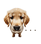 ゴールデンレトリバー子犬☆即返信シンプル（個別スタンプ：8）