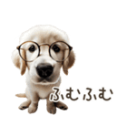 ゴールデンレトリバー子犬☆即返信シンプル（個別スタンプ：10）