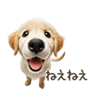 ゴールデンレトリバー子犬☆即返信シンプル（個別スタンプ：11）