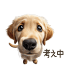 ゴールデンレトリバー子犬☆即返信シンプル（個別スタンプ：15）