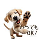 ゴールデンレトリバー子犬☆即返信シンプル（個別スタンプ：19）