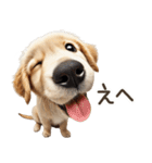 ゴールデンレトリバー子犬☆即返信シンプル（個別スタンプ：23）