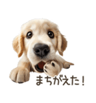 ゴールデンレトリバー子犬☆即返信シンプル（個別スタンプ：27）