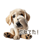 ゴールデンレトリバー子犬☆即返信シンプル（個別スタンプ：28）