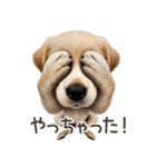 ゴールデンレトリバー子犬☆即返信シンプル（個別スタンプ：29）