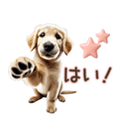 ゴールデンレトリバー子犬☆即返信ラブリー（個別スタンプ：2）