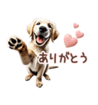 ゴールデンレトリバー子犬☆即返信ラブリー（個別スタンプ：4）