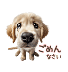 ゴールデンレトリバー子犬☆即返信ラブリー（個別スタンプ：5）