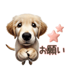 ゴールデンレトリバー子犬☆即返信ラブリー（個別スタンプ：7）