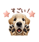 ゴールデンレトリバー子犬☆即返信ラブリー（個別スタンプ：9）