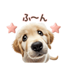 ゴールデンレトリバー子犬☆即返信ラブリー（個別スタンプ：13）