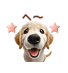 ゴールデンレトリバー子犬☆即返信ラブリー（個別スタンプ：14）