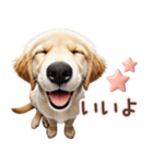 ゴールデンレトリバー子犬☆即返信ラブリー（個別スタンプ：15）