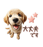 ゴールデンレトリバー子犬☆即返信ラブリー（個別スタンプ：19）
