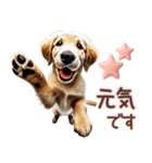 ゴールデンレトリバー子犬☆即返信ラブリー（個別スタンプ：20）