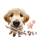 ゴールデンレトリバー子犬☆即返信ラブリー（個別スタンプ：21）