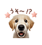 ゴールデンレトリバー子犬☆即返信ラブリー（個別スタンプ：23）